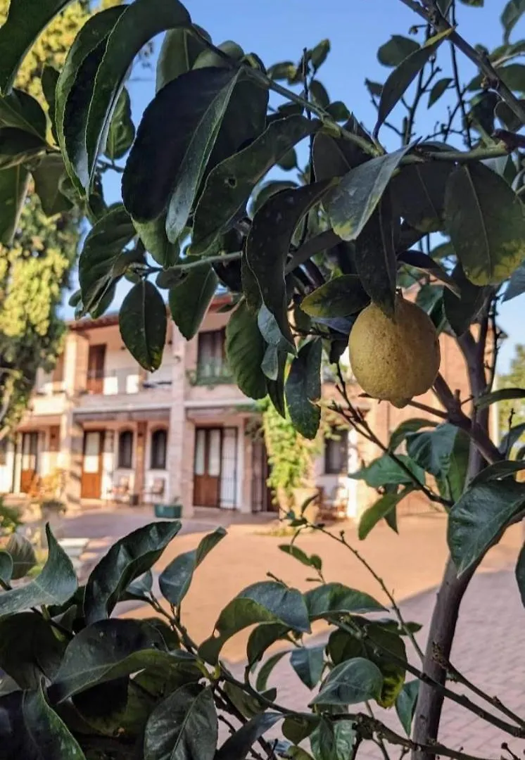 Il Ghiandolino Villa Imola Farm stay