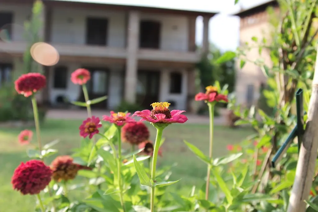 Il Ghiandolino Villa Imola Farm stay